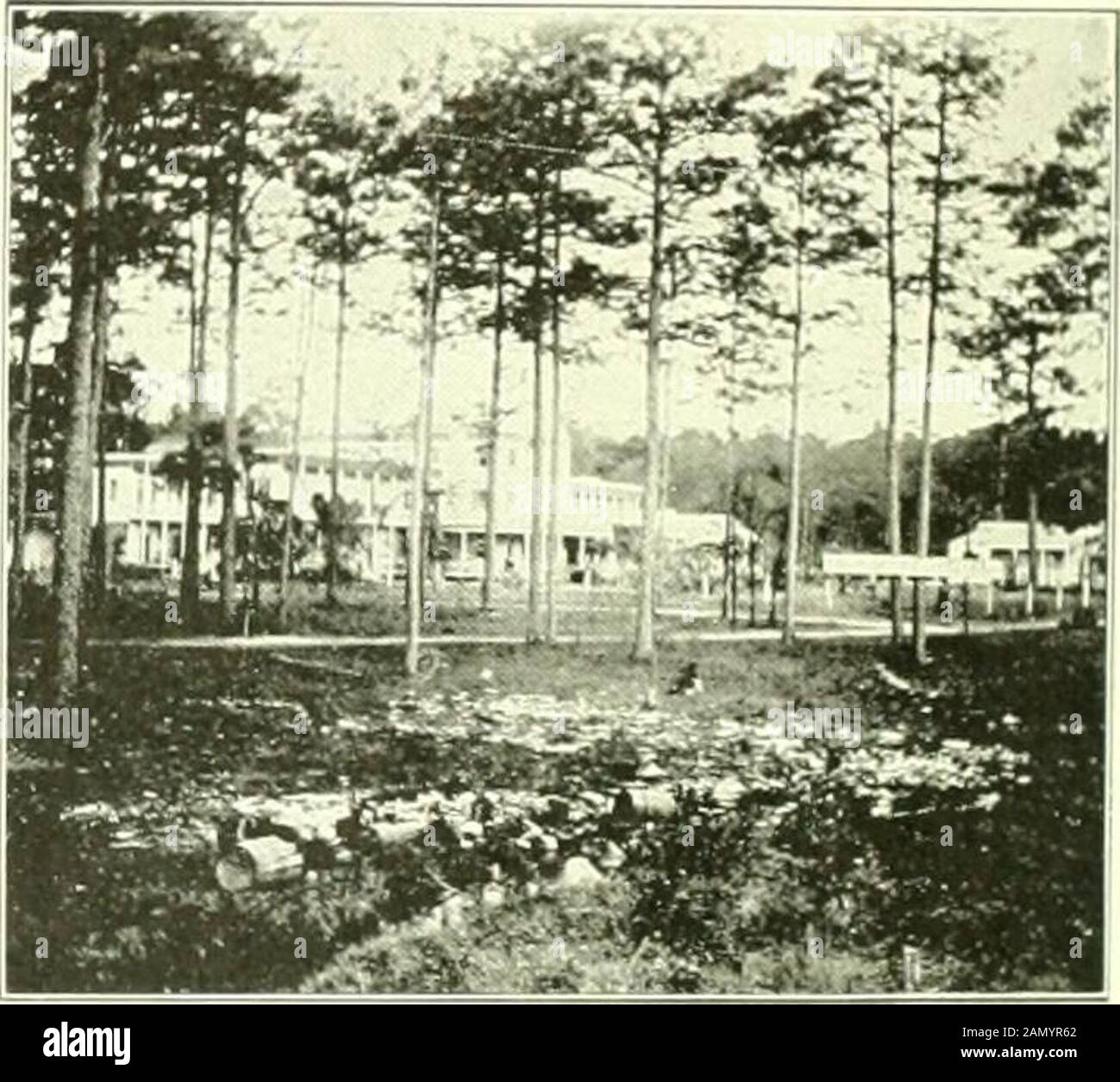 A handbook of Louisiana, giving general and agricultural features