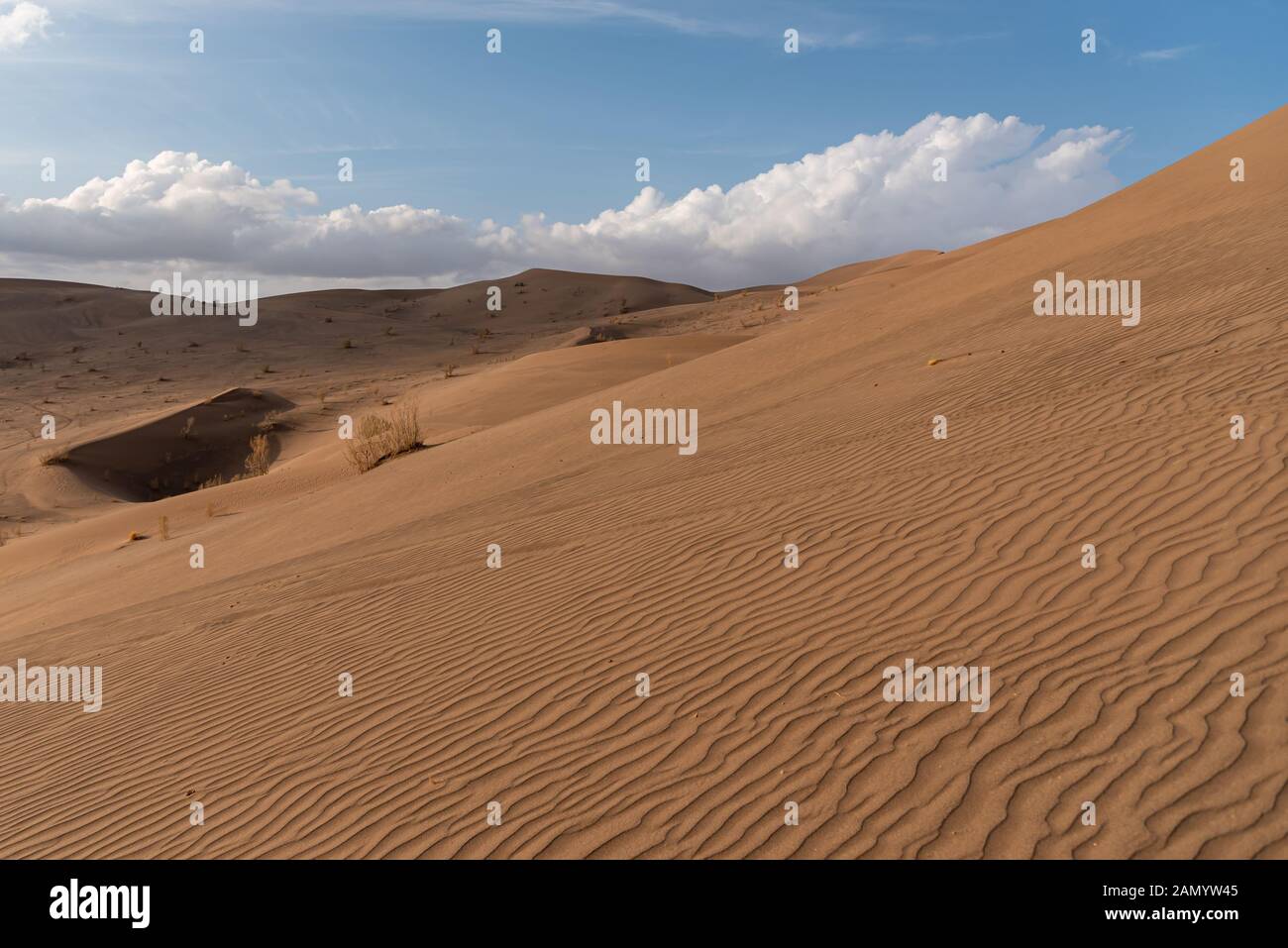 the shape of sand dunes in lut desert Stock Photo