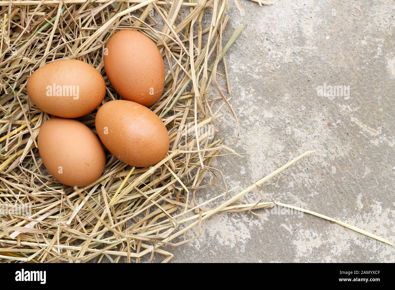 top view four brown eggs on rice straw with concrete background. Stock Photo