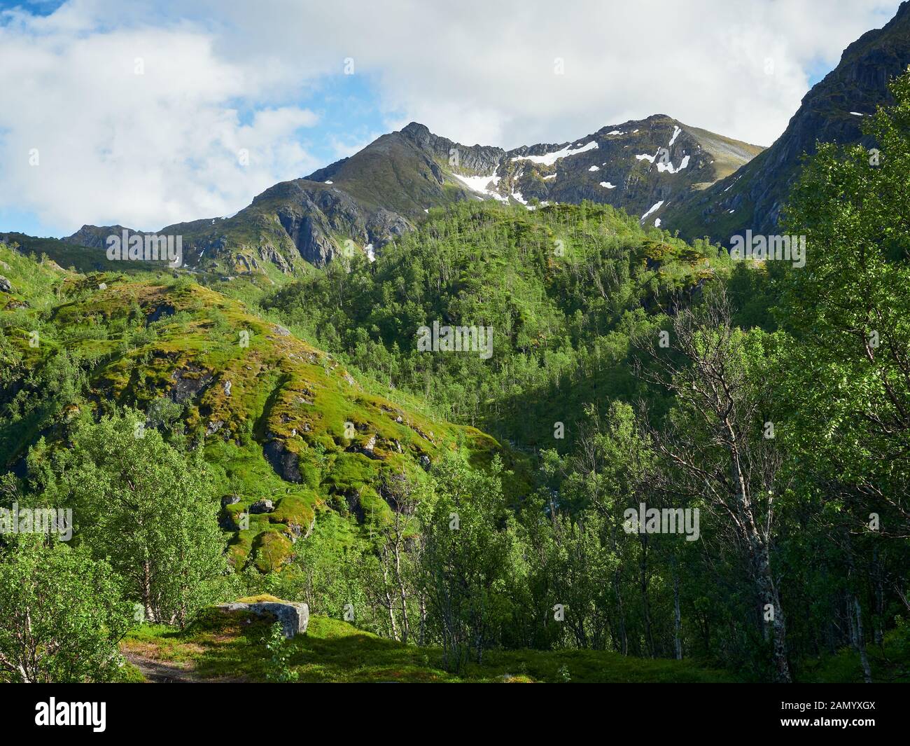 Scenic mountain view in mountainous summer terrain in northern Norway. Senja Island, Troms County - Norway. Beauty of nature concept background. Stock Photo