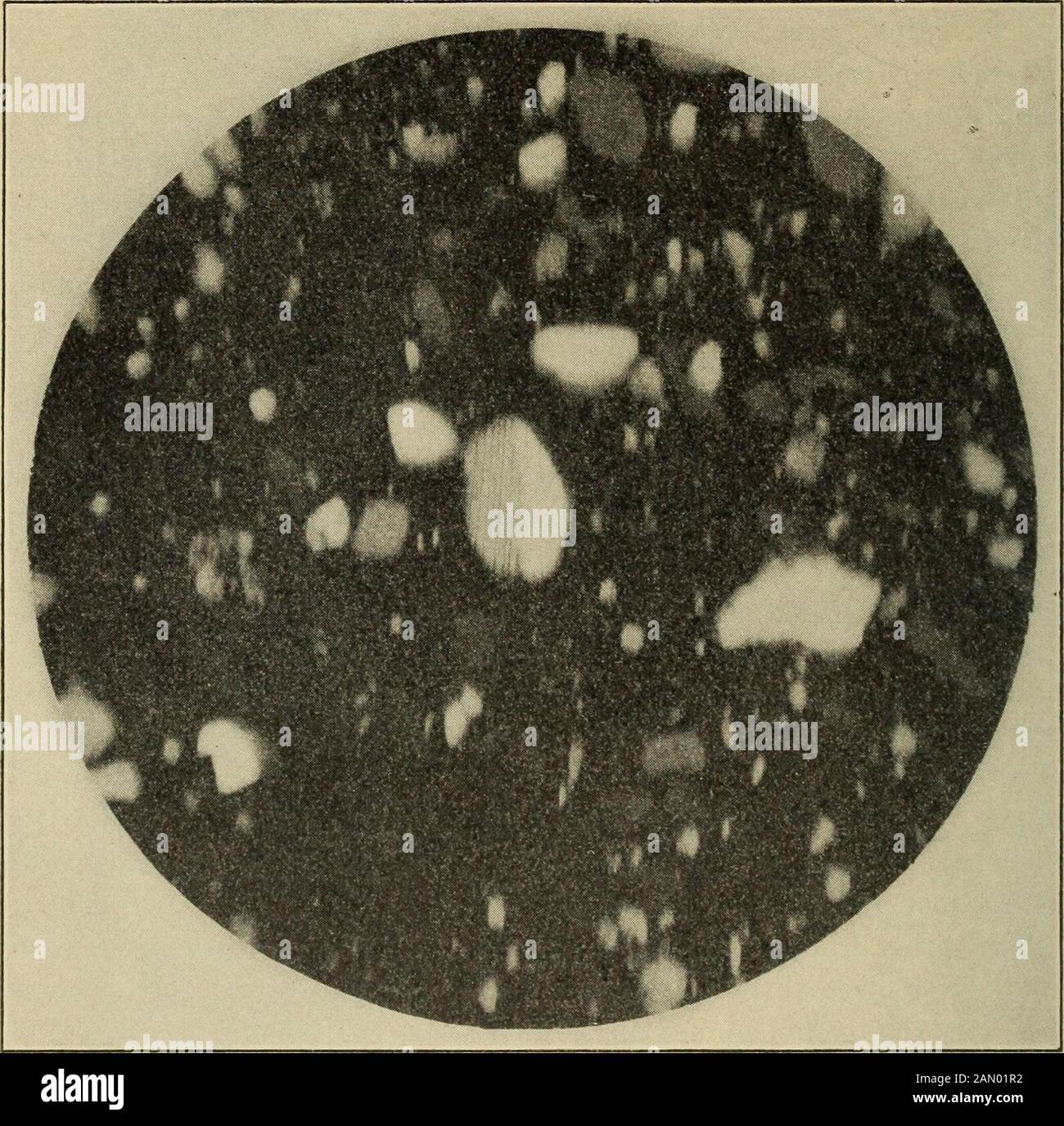 Bulletin of the Geological Society of America . In the glass are embedded the undissolved grainsof the original minerals, which may vary in amount from about one-halfof the whole mass to a very small fraction of it. In places, then, therock has been converted almost completely to glass, in which case themass is light colored and of a pale yellow in thin section. As the extentof fusion diminishes, the glass becomes darker and more nearly opaque.The refractive index of the glass varies somewhat, but is never far from XXIX—Bull. Geol. Soo. Am., Vol. 34, 1922 434 BOWEX AND AUROUSSEAU FUSION OF SED Stock Photo
