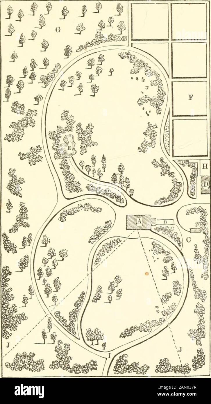 Practical landscape gardening : with reference to the improvement of rural residences, giving the general principles of the art : with full directions for planting shade trees, shrubbery and flowers, and laying out grounds . GARDENING. The ground represented in Figure 11, mightnaturally he divided into two Lawns, extending oneach side of the house. The Front-lawn is orna-mented with the choicest Trees, Shruhs and Flowers ;the back part, with the Pond, has more of thepicturesque. The shores of the Pond should he made withEockwork, and planted out with Khododendrons,Kalmias, Ferns, etc.; the hel Stock Photo