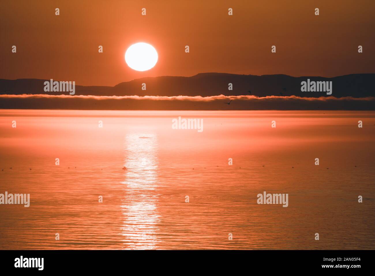Beautiful Sunset with mountains and icebergs. Arctic circle and ocean. Sunrise horizon with pink sky during midnight sun. Stock Photo
