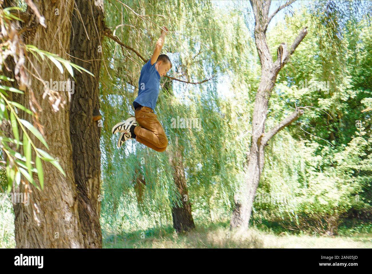 Boy jumping from a big tree down, wide angle photo Stock Photo Alamy