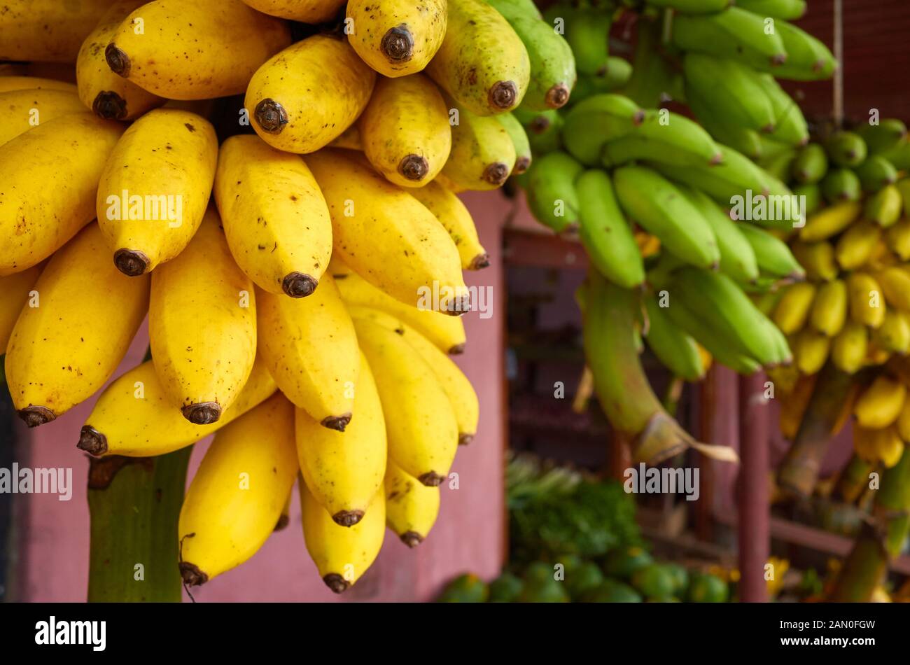 Ripe bananas on a local market, Sri Lanka. Stock Photo