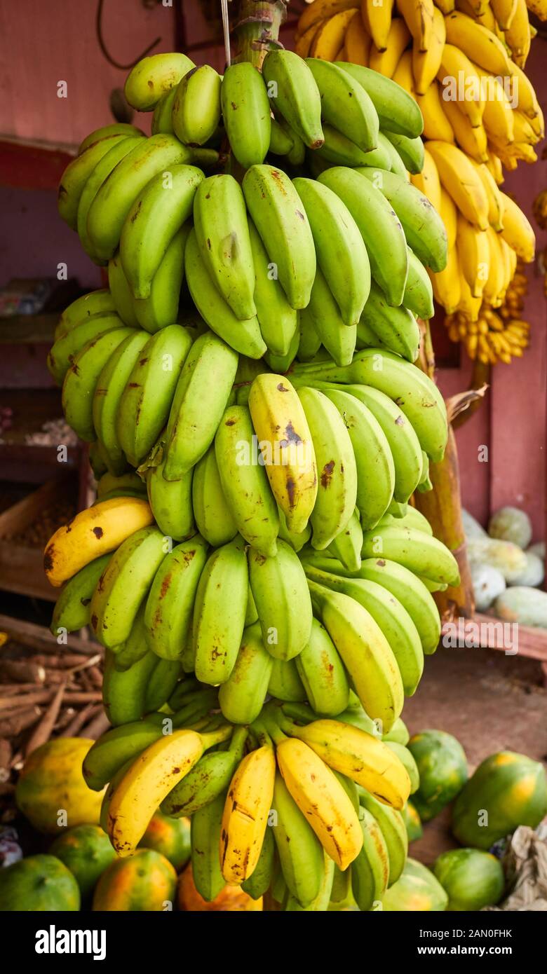 Banana stem on a local market, Sri Lanka. Stock Photo