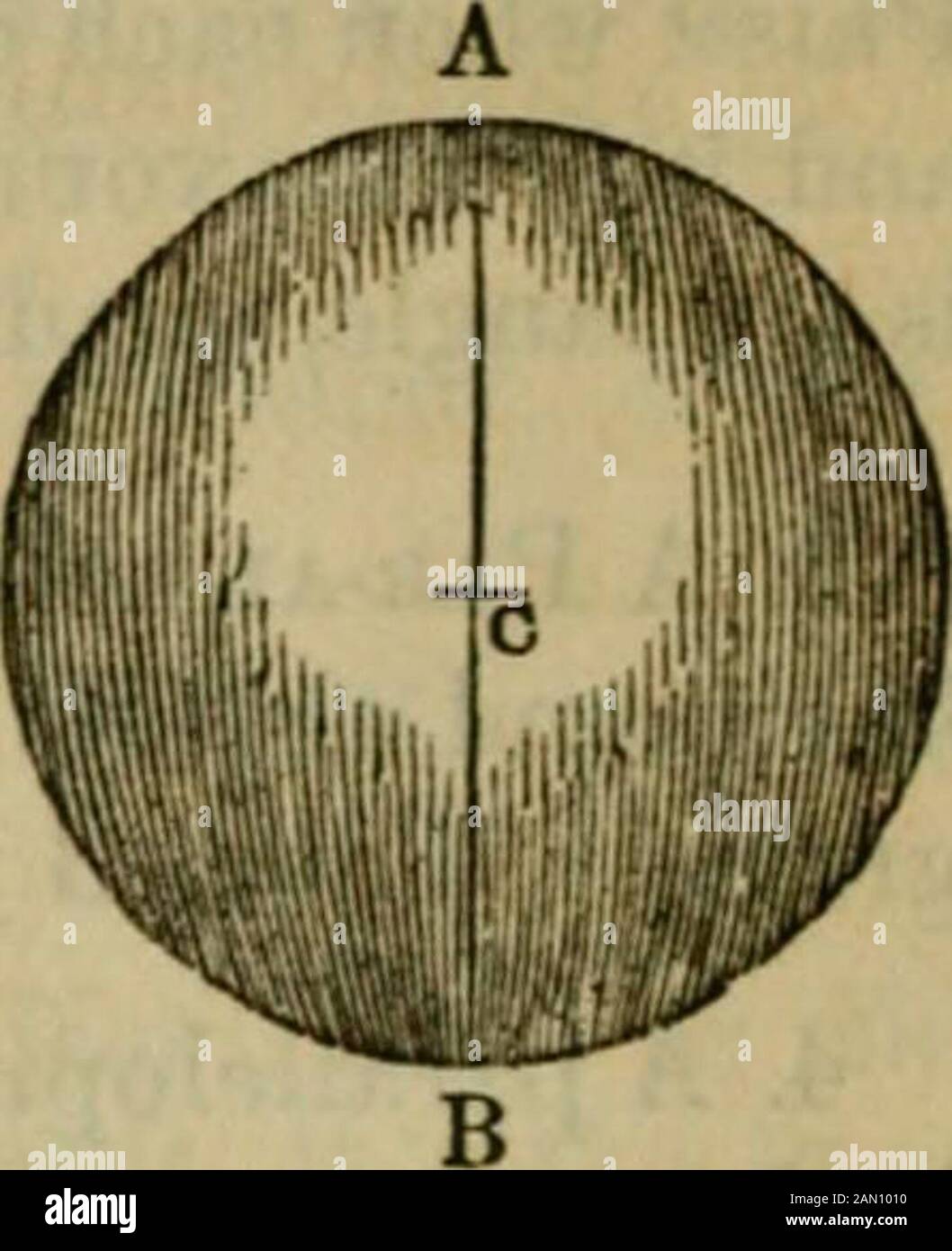 Practical Arithmetic By Induction And Analysis 808 Rays Practical Arithmetic 9 A Globe Or Sphere Is A Body Of Sucha Figure That All Points Of The Surface Areequally Distant From