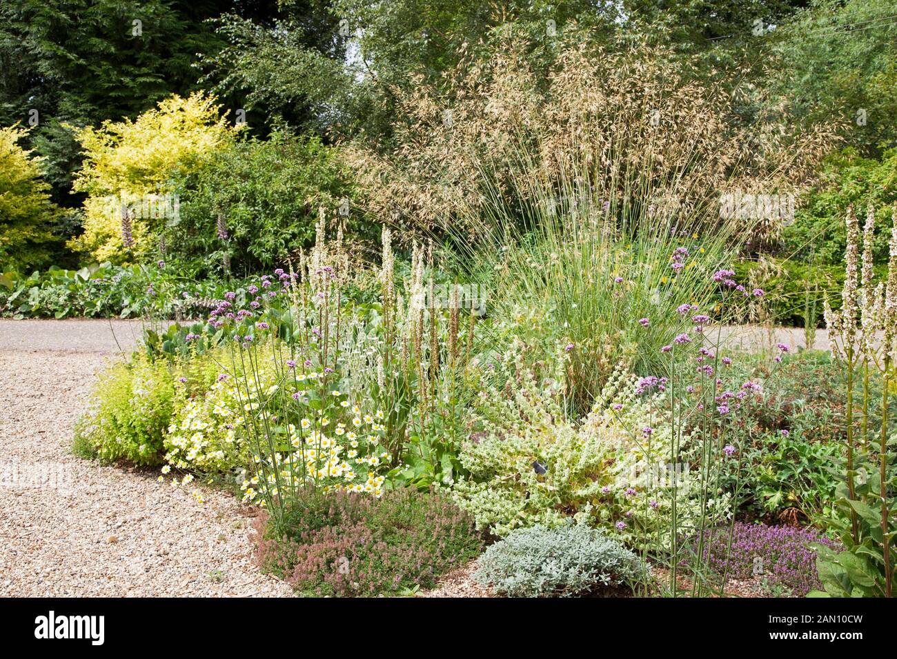 DROUGHT TOLERANT PLANTS AT BETH CHATTO'S GARDEN Stock Photo