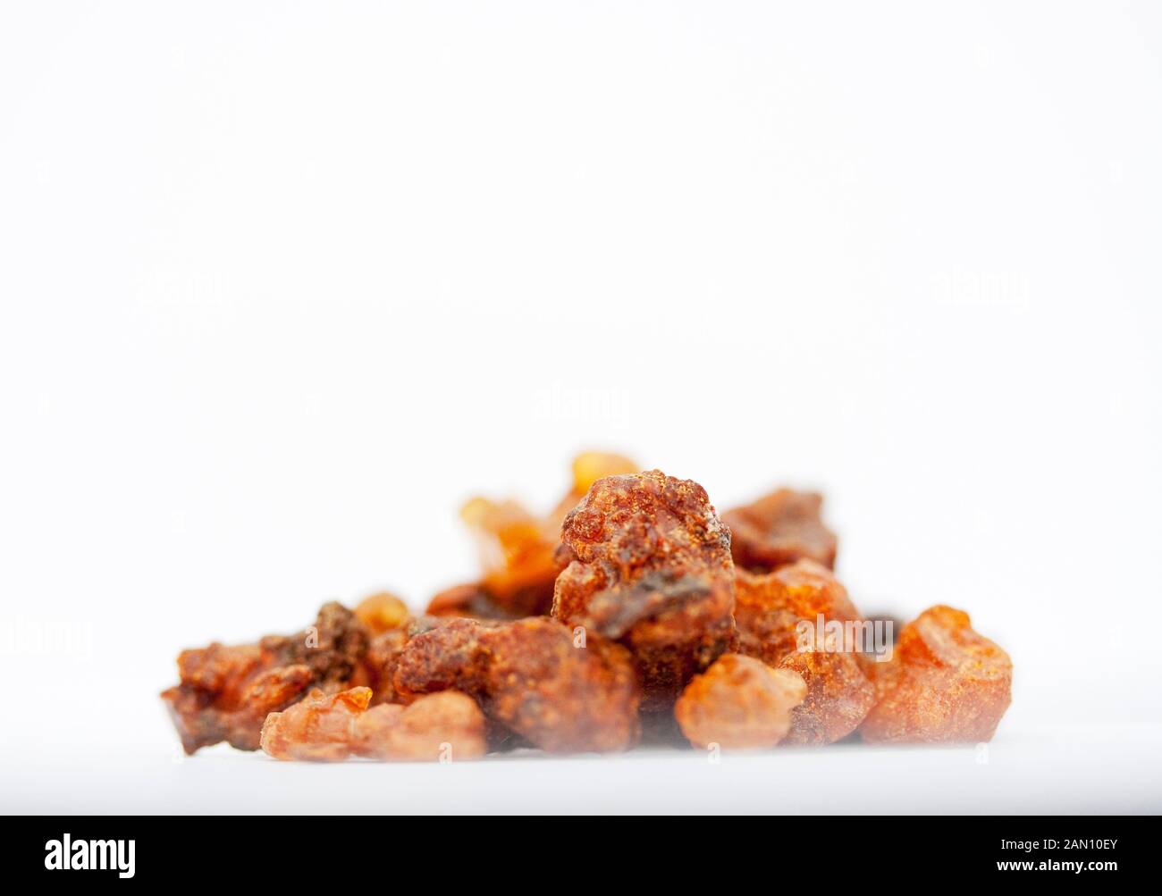 COMMIPHORA MYRRHA MYRRH Stock Photo Alamy