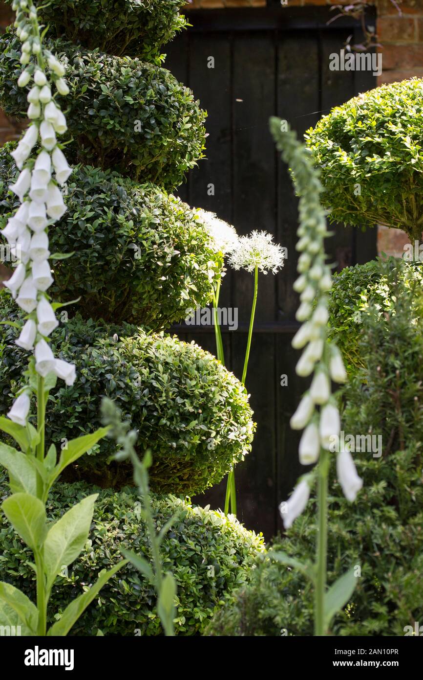 THE TOPIARIST GARDEN AT WEST GREEN HOUSE - DESIGNER MARYLYN ABBOTT - RHS CHELSEA Stock Photo