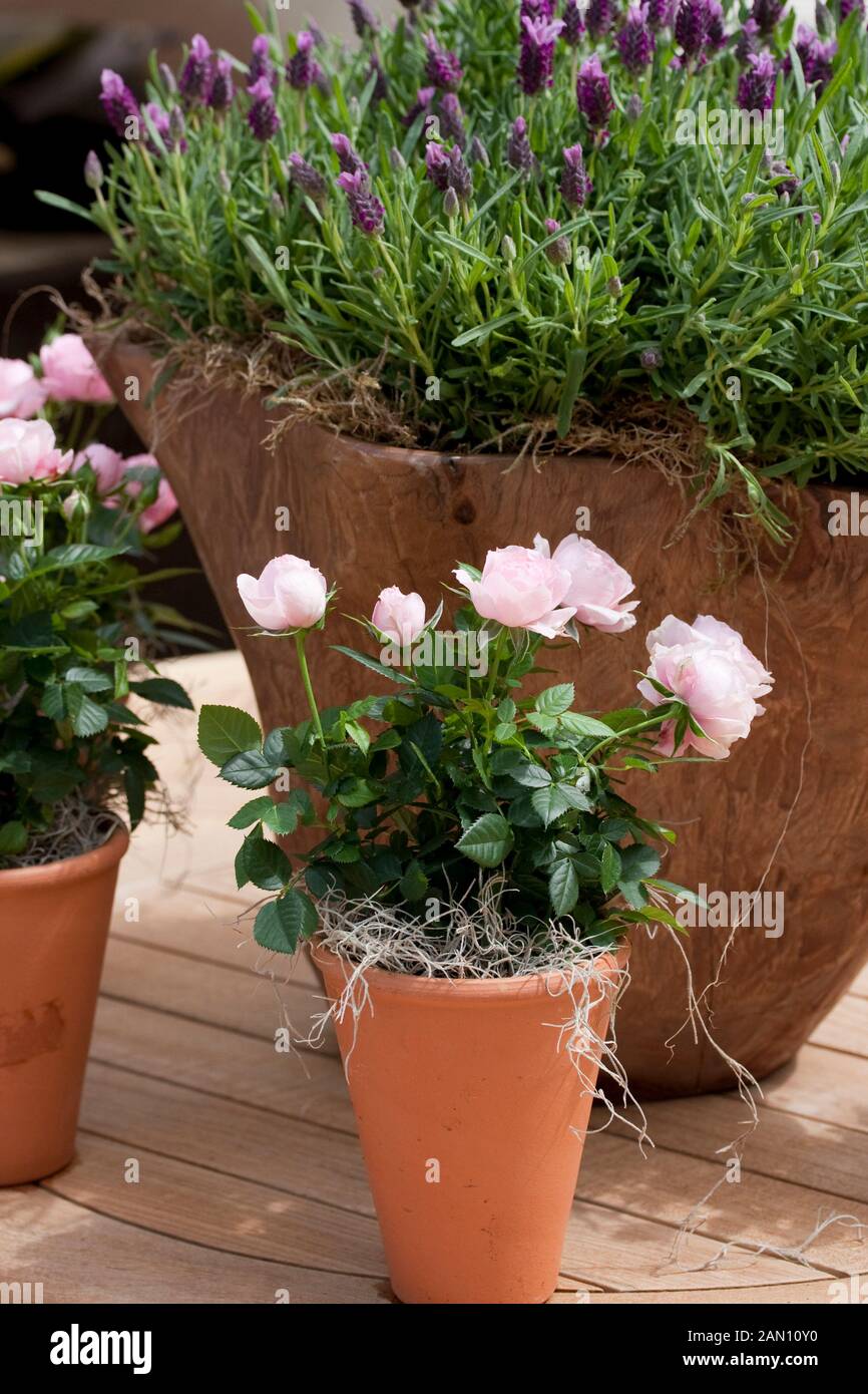 Miniature containers hires stock photography and images Alamy