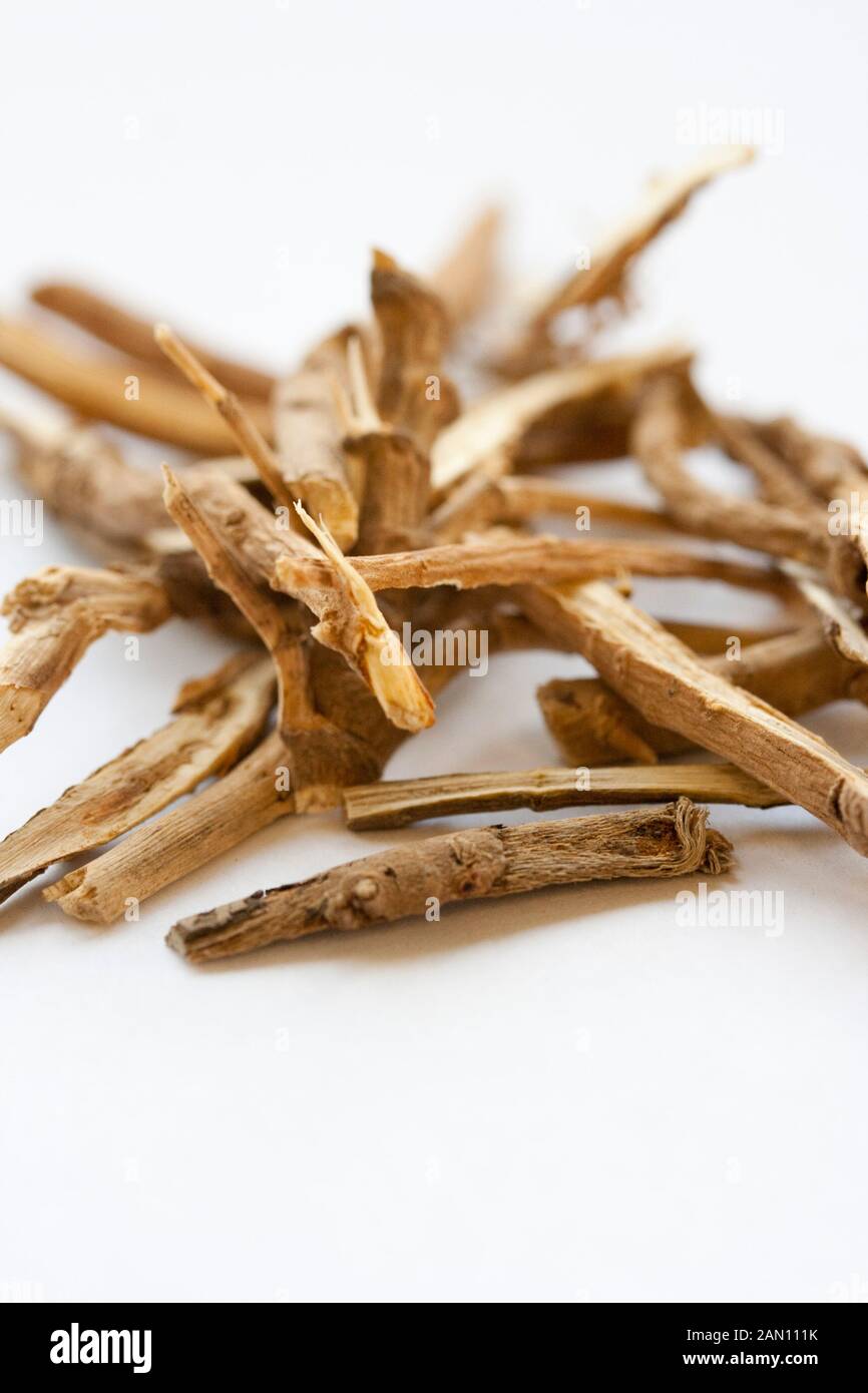 CHAI HU THOROWAX ROOT (Bupleurum chinense) CHINESE HERBAL MEDICINE