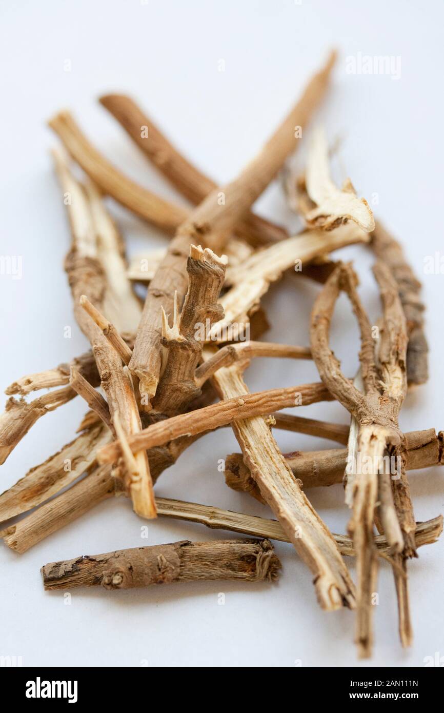 CHAI HU THOROWAX ROOT (Bupleurum chinense) CHINESE HERBAL MEDICINE
