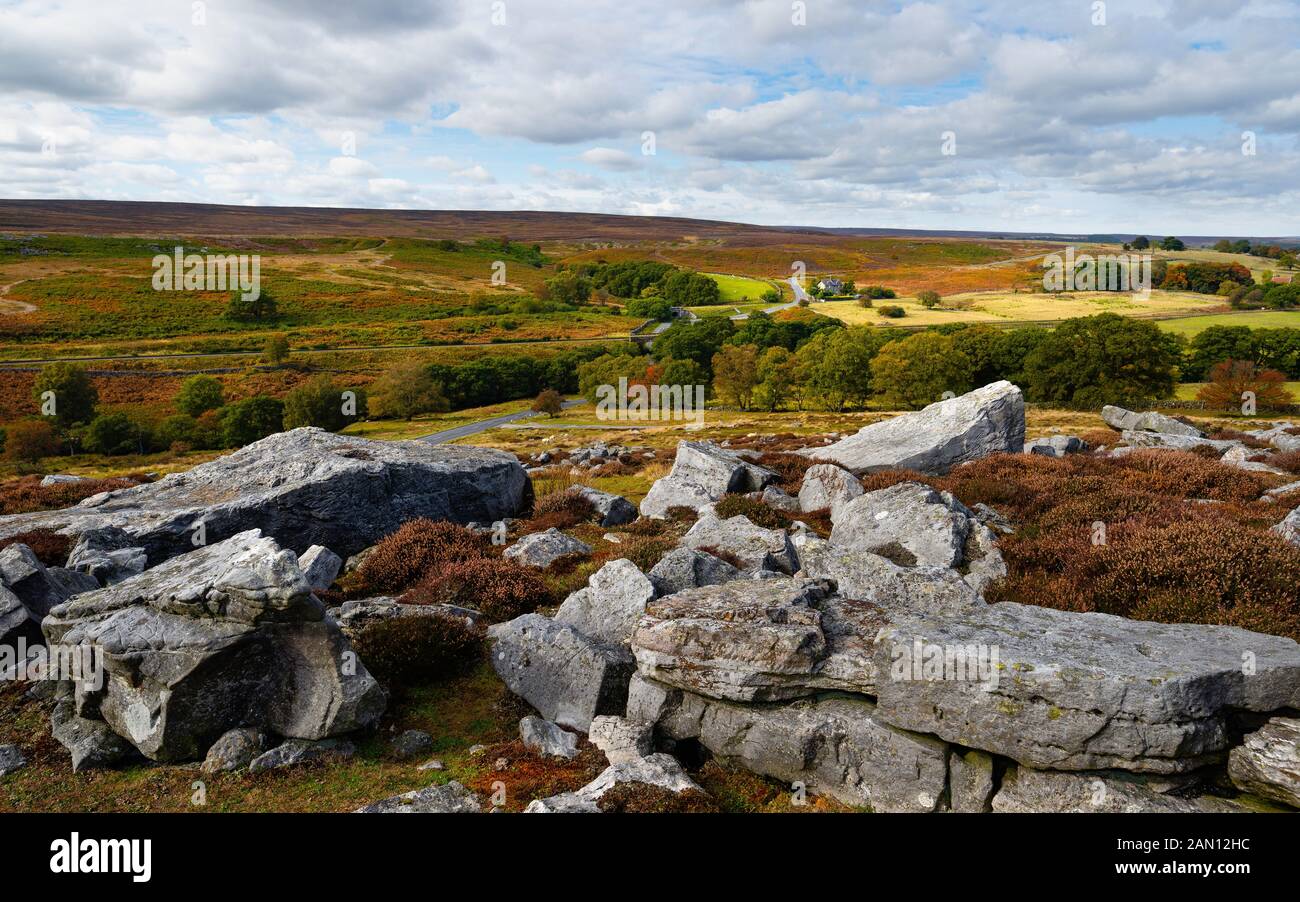 The North York Moors with large rocks and heather in bloom with trees and farmhouse in distance surrounded by fields. Goathland, Yorkshire, UK. Stock Photo