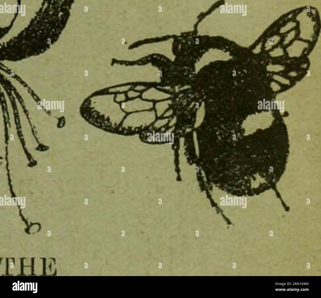 Page 45 D A R Y L High Resolution Stock Photography And Images Alamy
