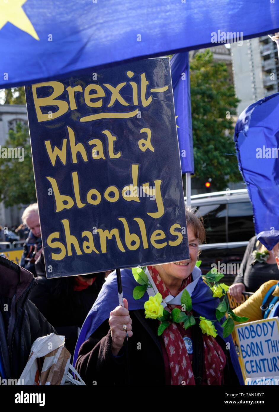 Remain protester with placard reading 'Brexit what a bloody shambles' in from of parliament Stock Photo
