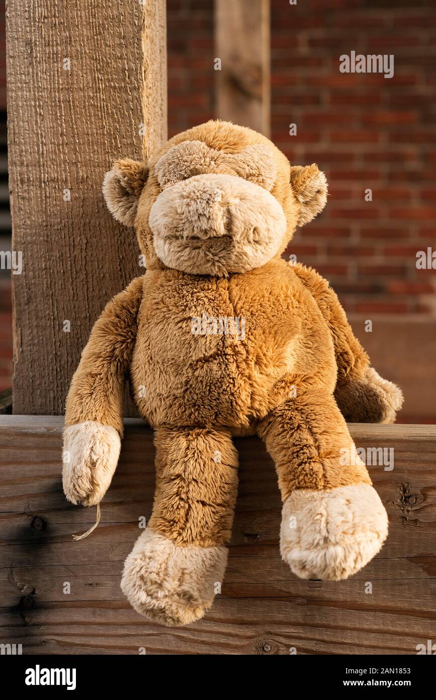 Plush stuffed animals hi-res stock photography and images - Alamy