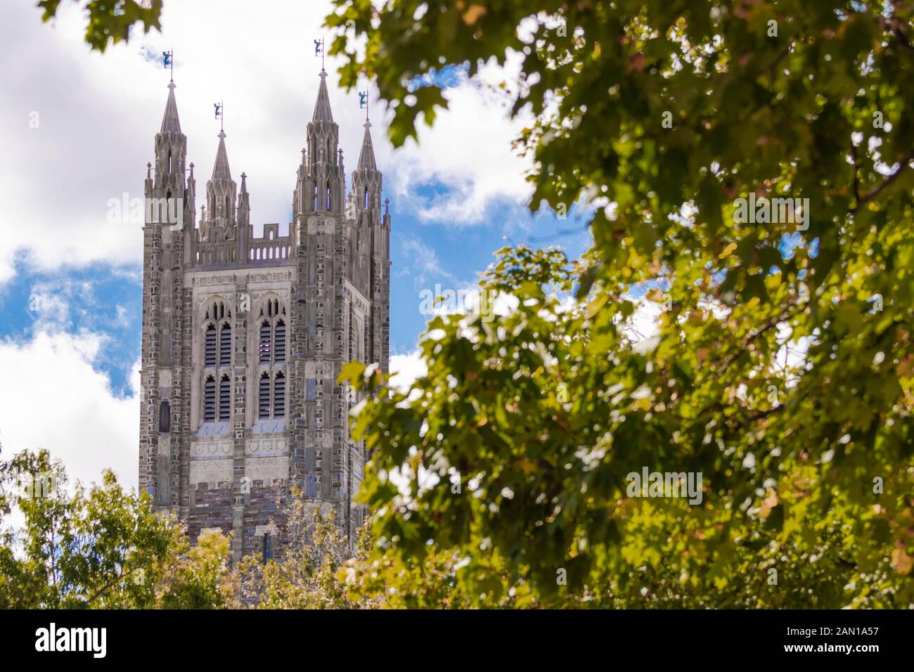 Princeton University Wallpaper