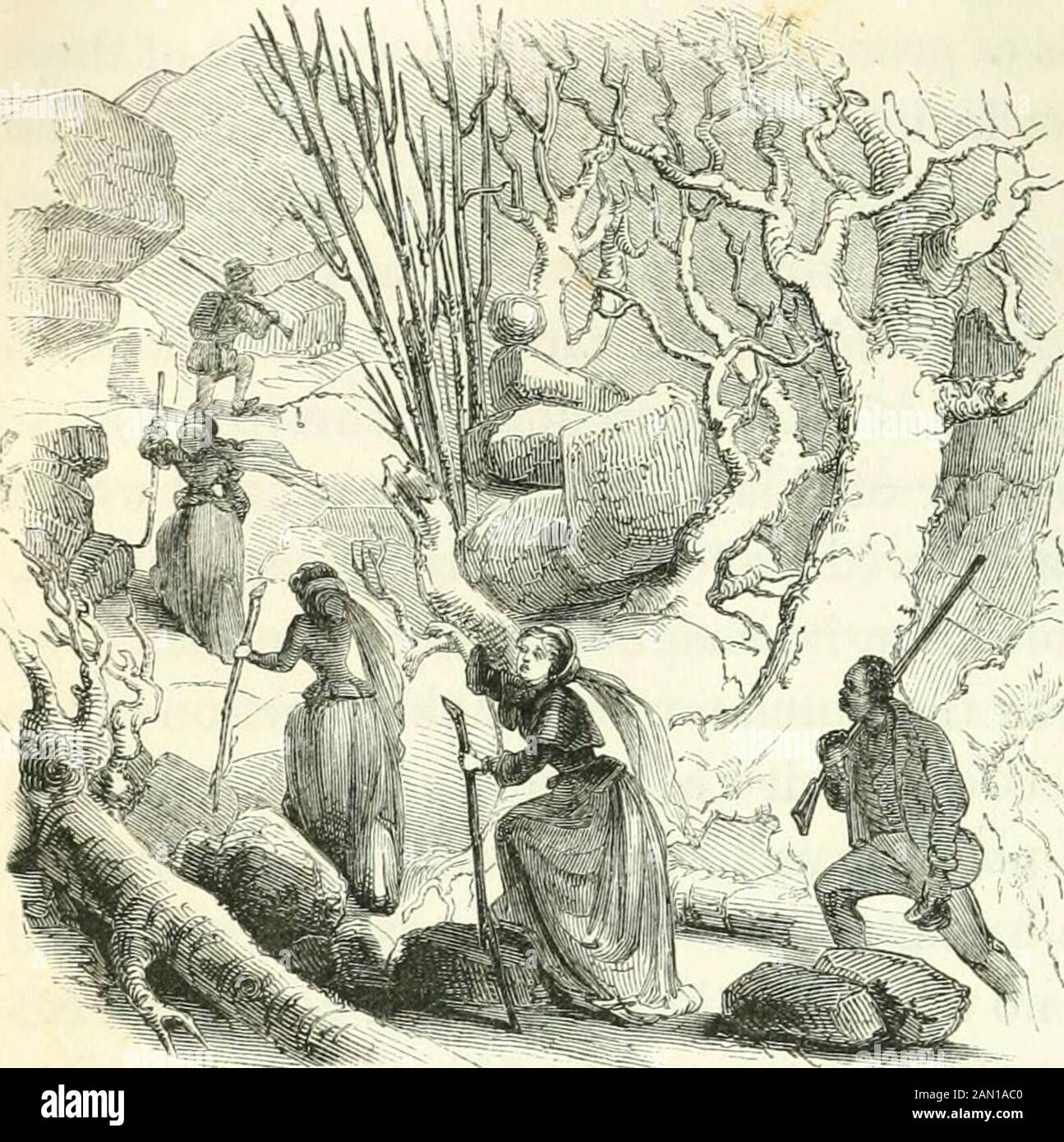 Virginia illustrated : containing a visit to the Virginian Canaan, and the adventures of Porte Crayon and his cousins . SOUTH PEAK OF OTTEB, FROM THE HOTEL. 216 POKTE CEAYON AND HIS COUSINS.. ASCENT OF THE PEAK. As the fallen leaves had entirely obliterated the path, a negroboy was detailed to lead the way. Porte Crayon followed next, with his rifle slung,and knapsack stuftedwith sliawls and com-forts, to protect the la-dies from the keen airof the summit. The girls straggled after inIndian file, with flyingbonnets, each holdinga light, springy stafi^^ to steady her in climb-?^ ing. Mice, arm Stock Photo