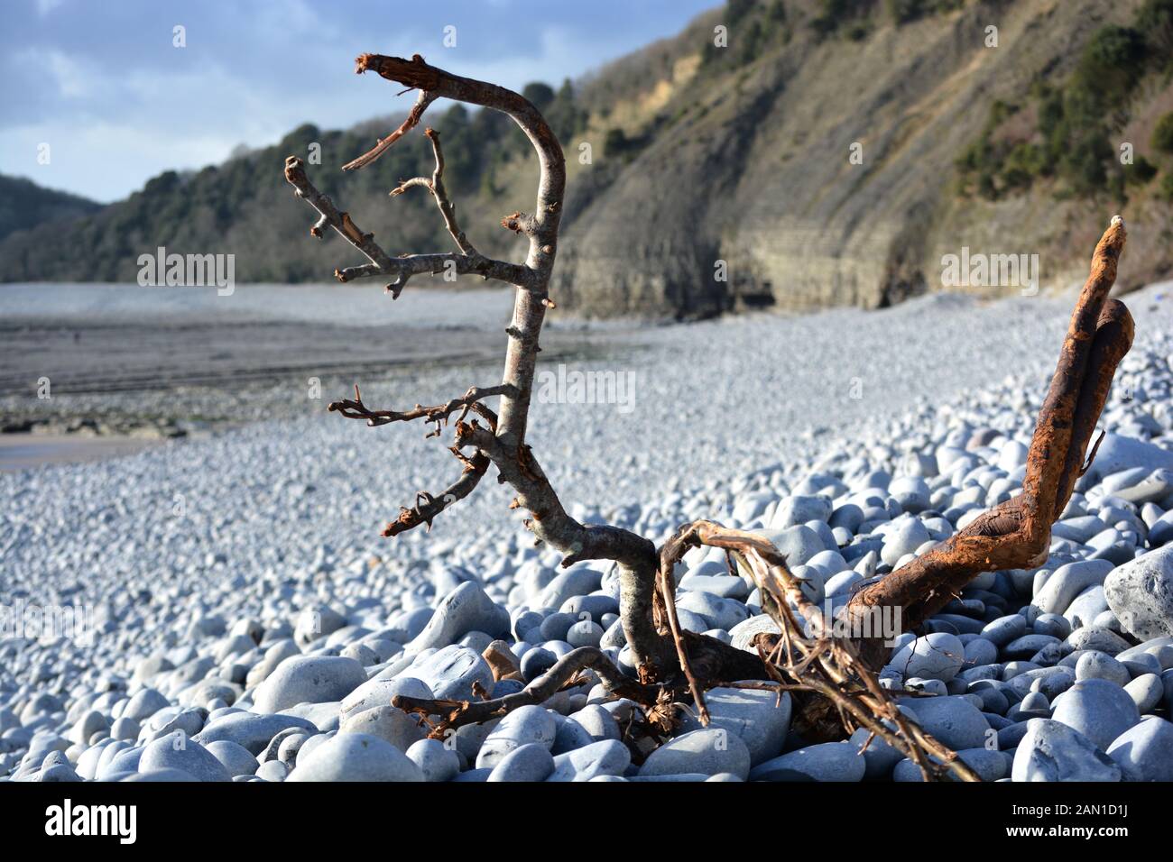 Cold knap beach hires stock photography and images Alamy