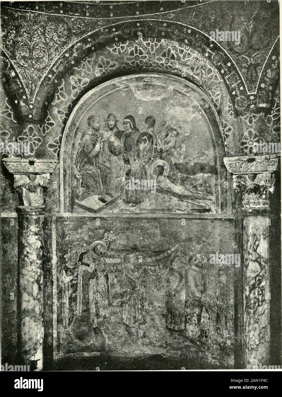 Minari High Resolution Stock Photography And Images Alamy