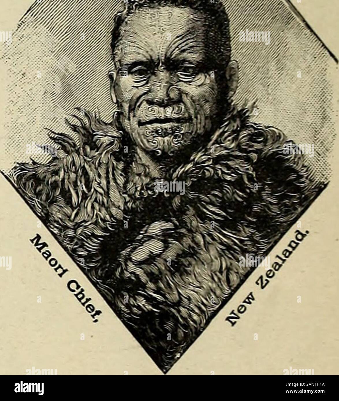 Advanced Geography L Built Bodies The Brown People Live Mostly On Islands But Their Home Includes Also Themalay Peninsula Borneo Sumatra Madagascar And Java Are The Most Importantislands Peopled By The Brown