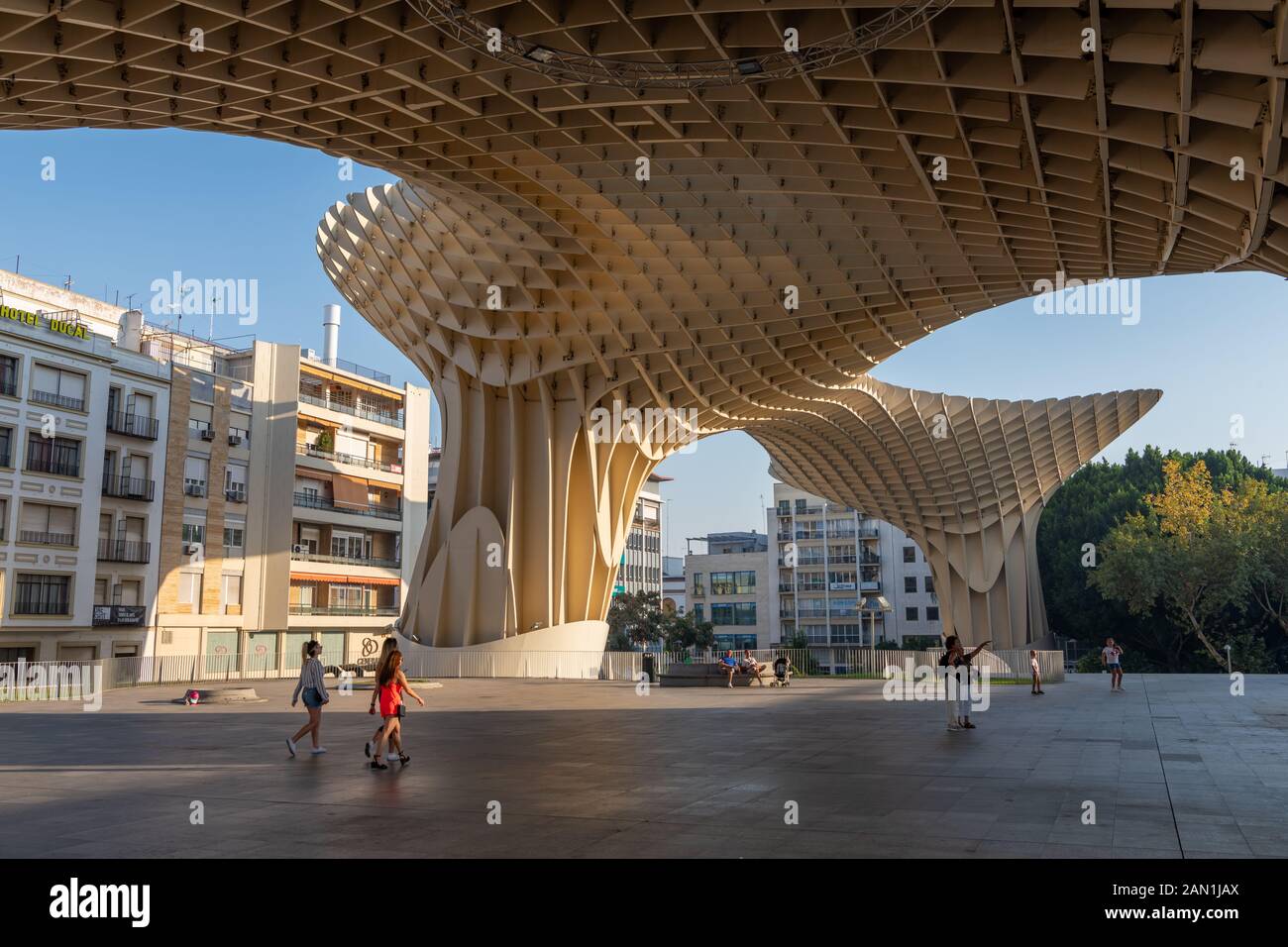 Jurgen Mayer's 2011 Metropol Parasol stands in Plaza de la Encarnacion in Seville. One of the largest wooden structures ever built it is 26m high. Stock Photo