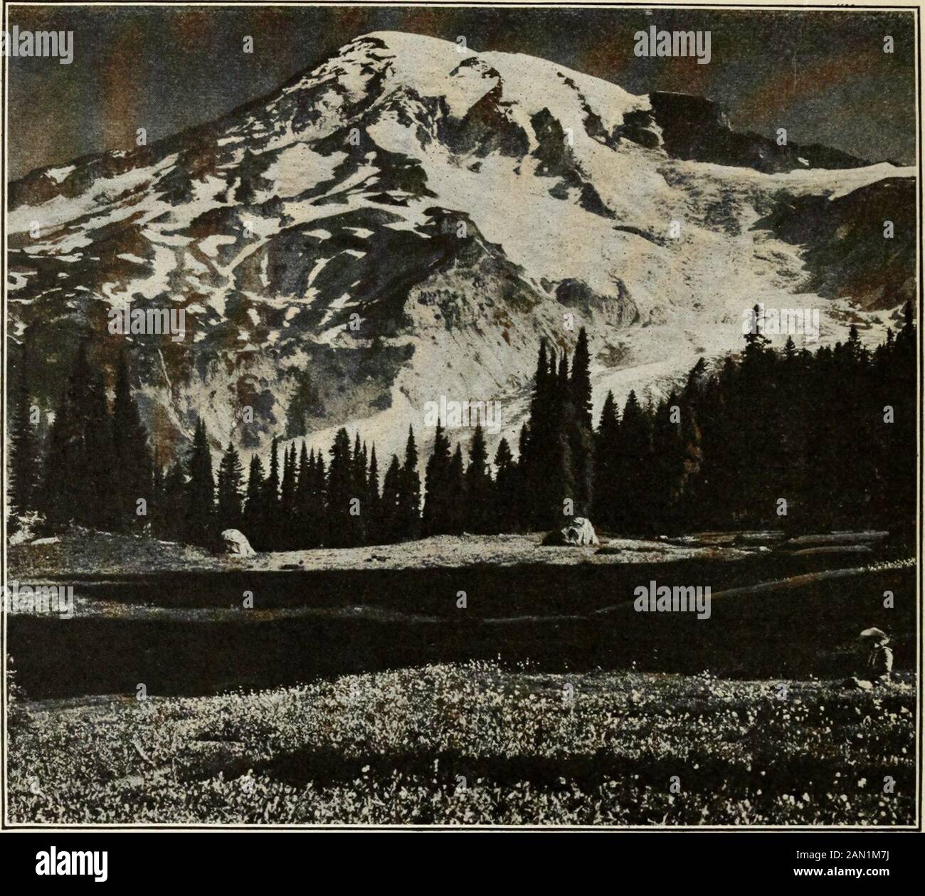 Mount Rainier over Nisqually Glacier, covered with rocks, hiker at