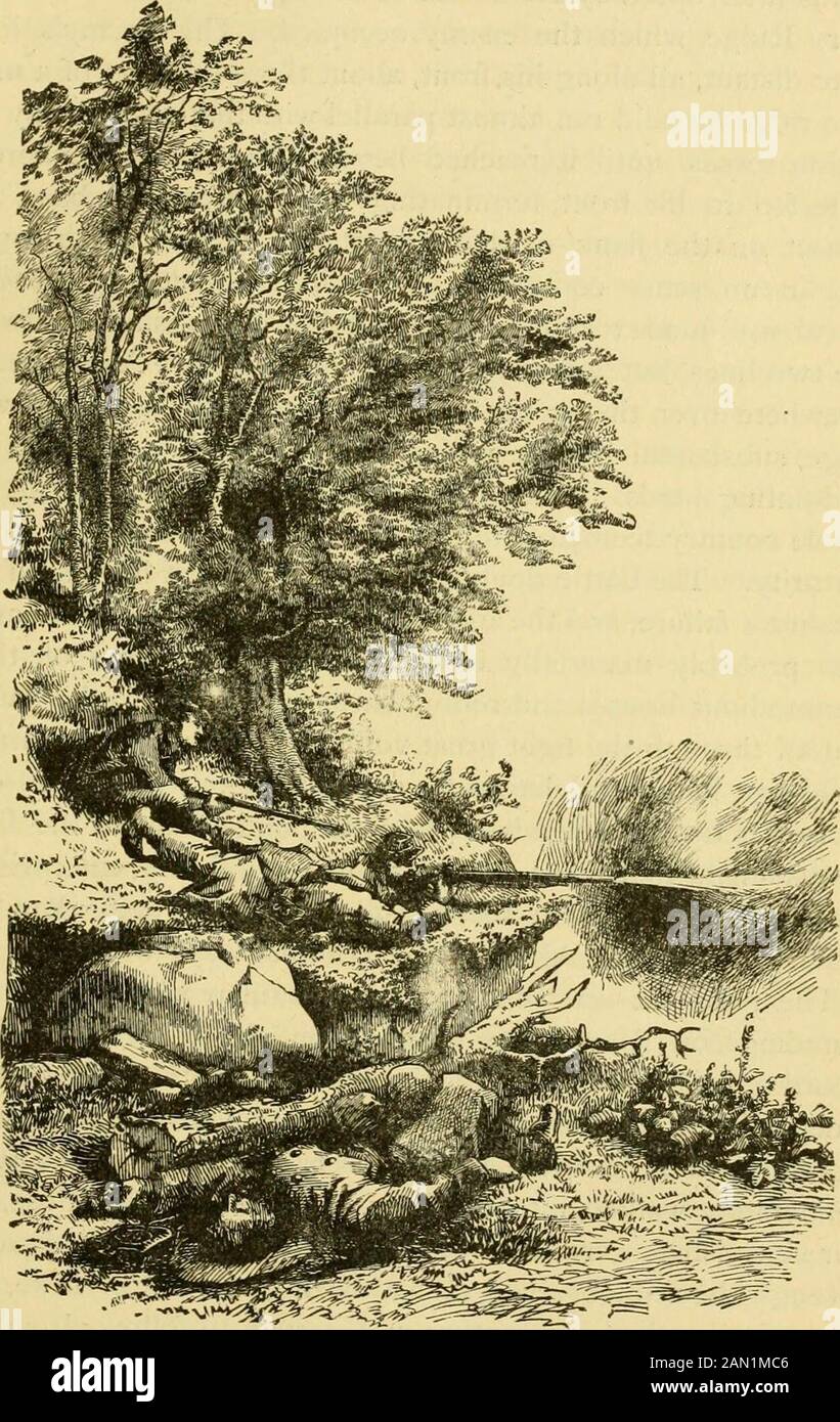 Devils corn hires stock photography and images Alamy