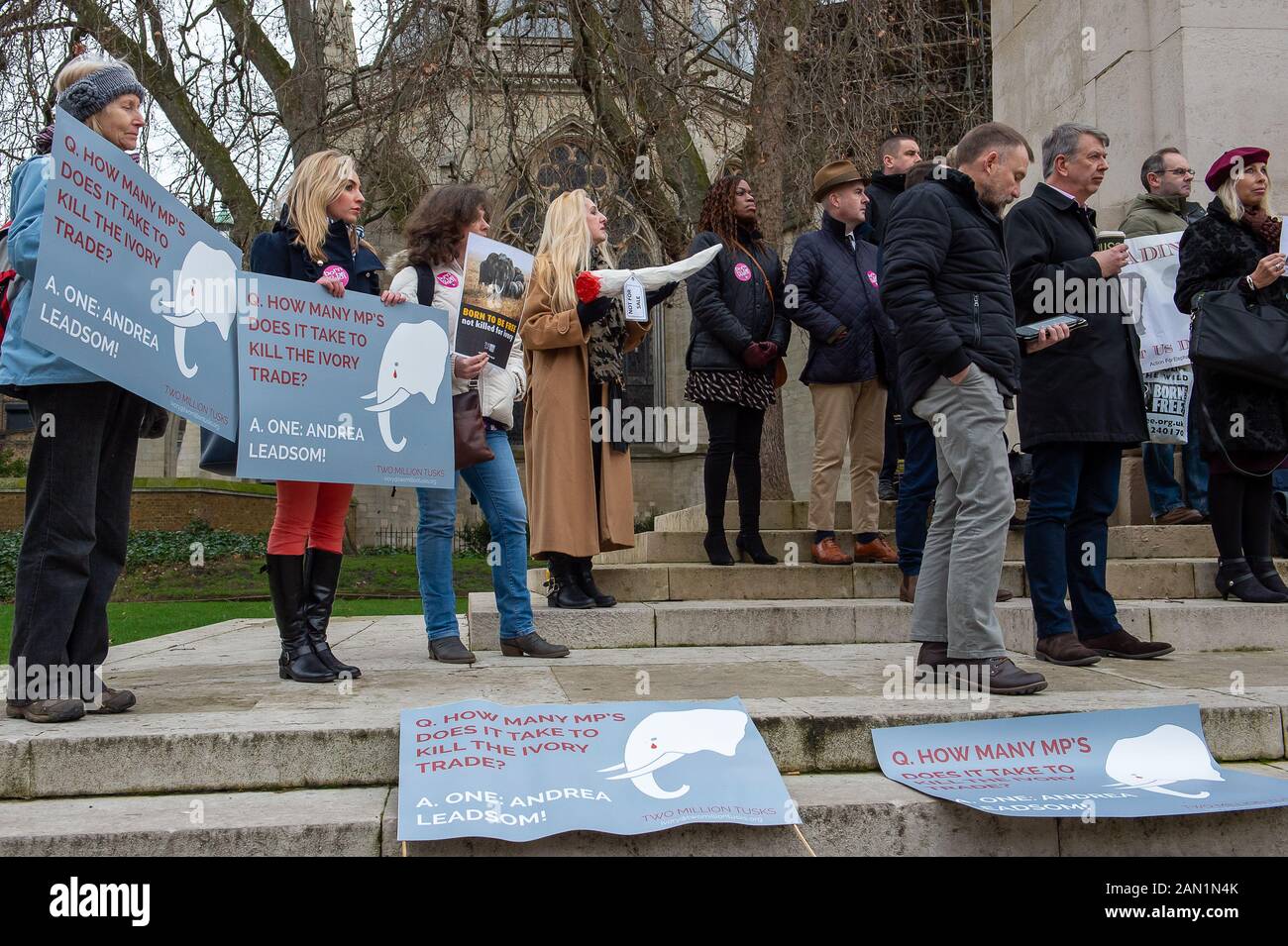 Action for Elephants, UK Ban All Ivory Trade Protest, Westminster, London, UK. 6th February, 2017. Protesters outside Parliament call on the Prime Minister and MPs to ban all ivory trade in the UK. Credit: Maureen McLean/Alamy Stock Photo