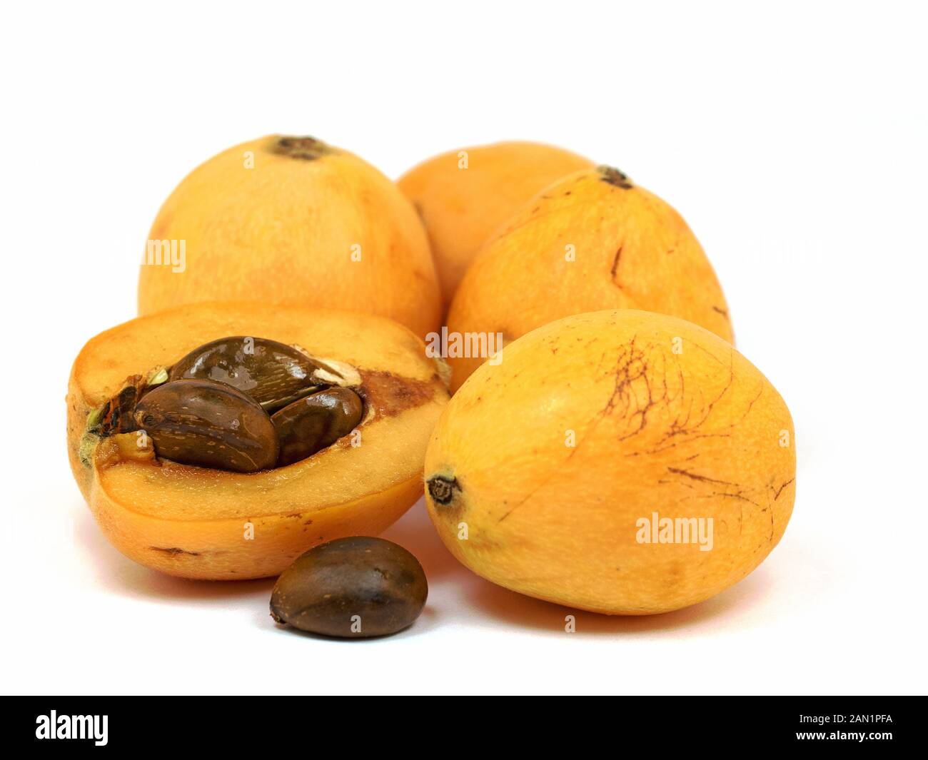 Japanese loquat, Eriobotrya japonica, against white background Stock Photo