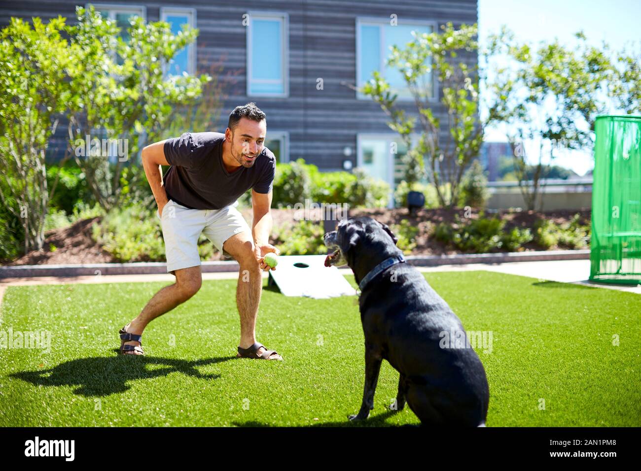 A man playing with his dog. Stock Photo