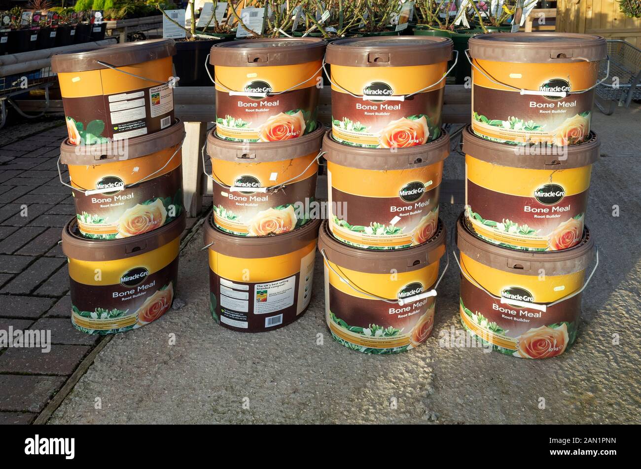 A stack of tubs of organic Bone Meal Root Builder Pellets multi purpose compost for sale in a garden centre Stock Photo