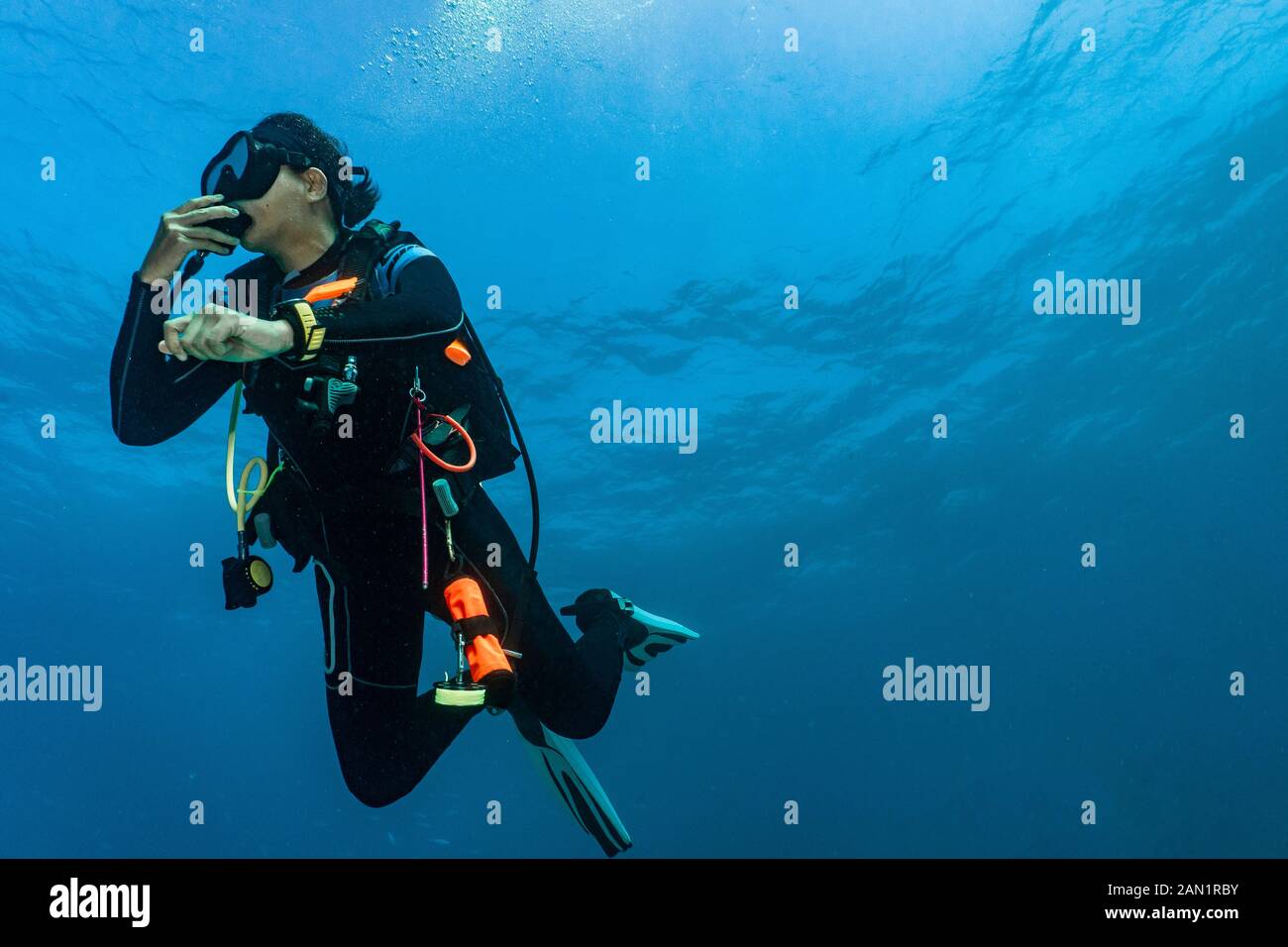 female diver performing a safety stop in 5meters depth in Australia