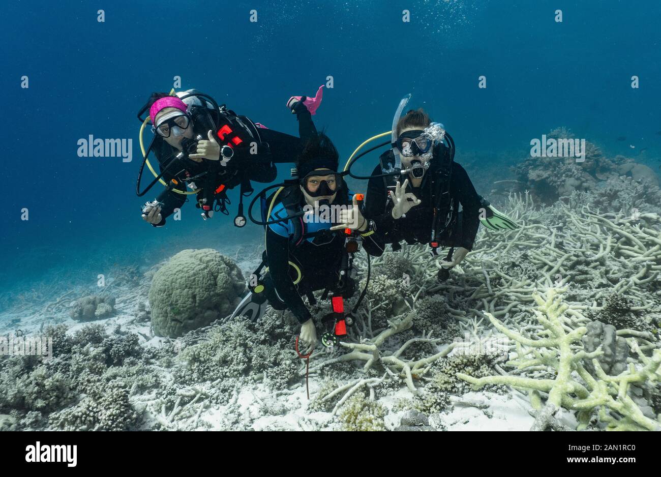 3 friends exploring the great barrier reef / Australia Stock Photo