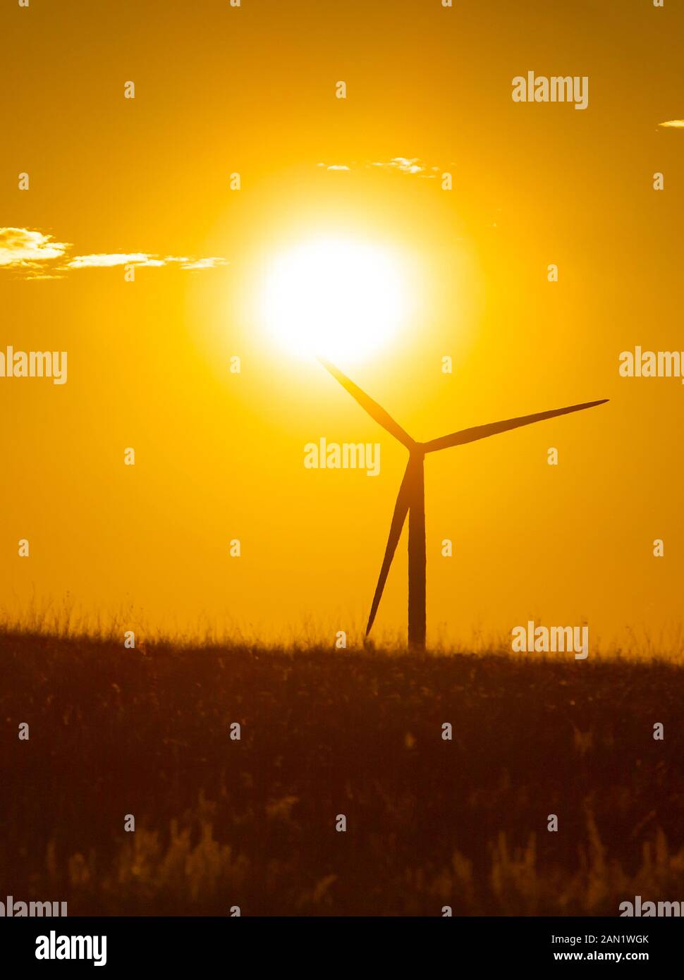 Wind turbine against yellow sunset in a wheat field Stock Photo - Alamy