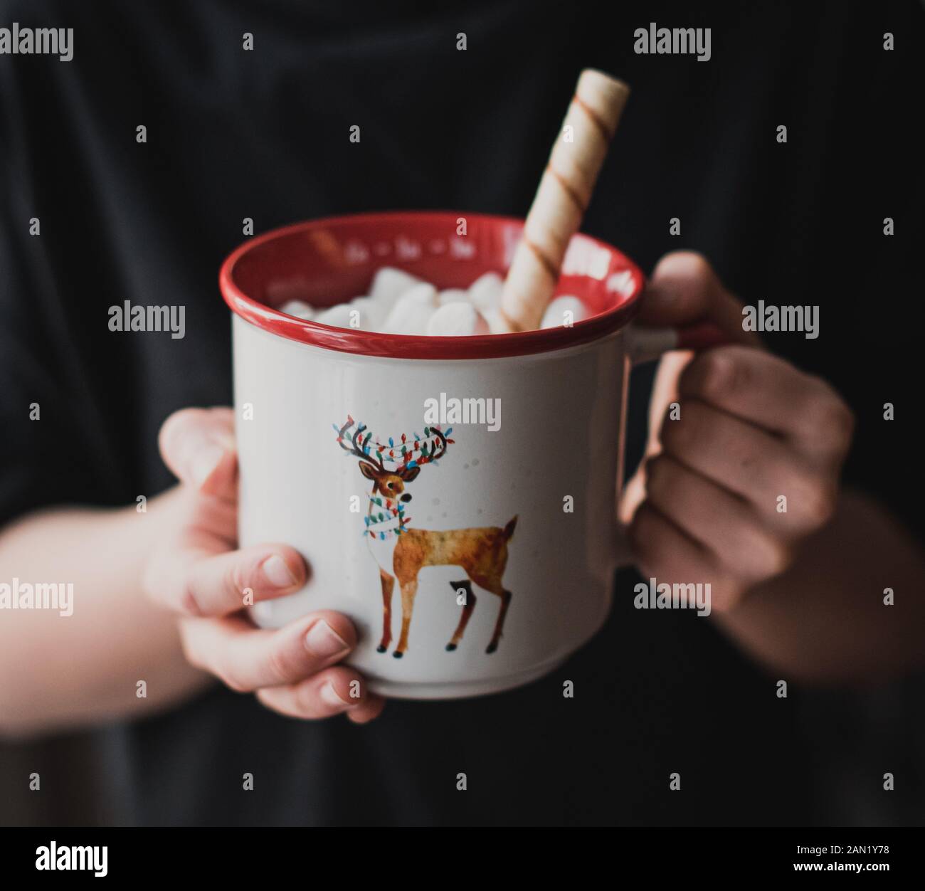 Close up of child's hands holding hot chocolate in a reindeer mug. Stock Photo