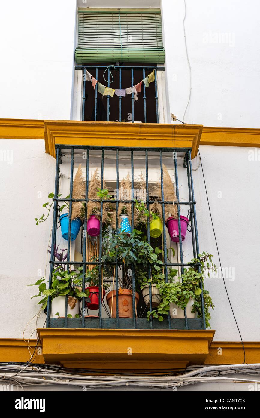 A colourful balcony on a white-washed building in Calle de San Felipe, Seville Stock Photo