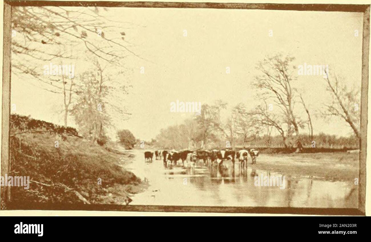 Pictures from nature and life, poems . 19 -^y.- Se littered lor^j,. ^y TVJrV)rin^cj j^or^bl. 21 Jo a CGiQlle, ocl ar.ci cir^ Stock Photo