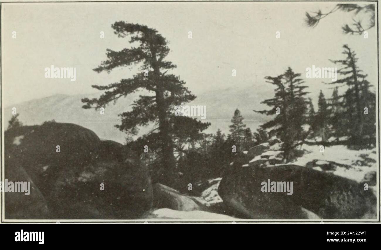 Appendix to the Journals of the Senate and Assembly of the ..session of the Legislature of the State of California . -pany, it has not thus far succeeded in overcoming certain physicaldifficulties connected with maintaining an ade(|uate water supply atall times. As a result of these- physical difficulties, and also because of thehuman probh^ns involved in working out cooperatively such larg(^(juestions as Imperial Valley presents, the pioposal to seek some kind ofa working agreement with the United States Rechunation Service hasagain come into fii-st plac(^ befon^ the ])eople of the valley. In Stock Photo