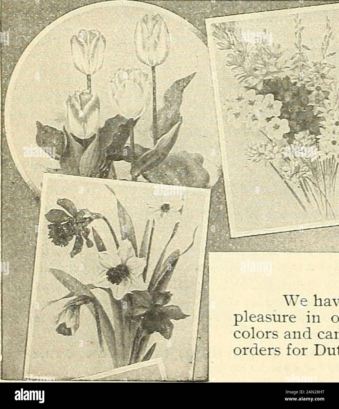 Cabinet Knobs Flower Lillies of the valley Lily #2 Flower
