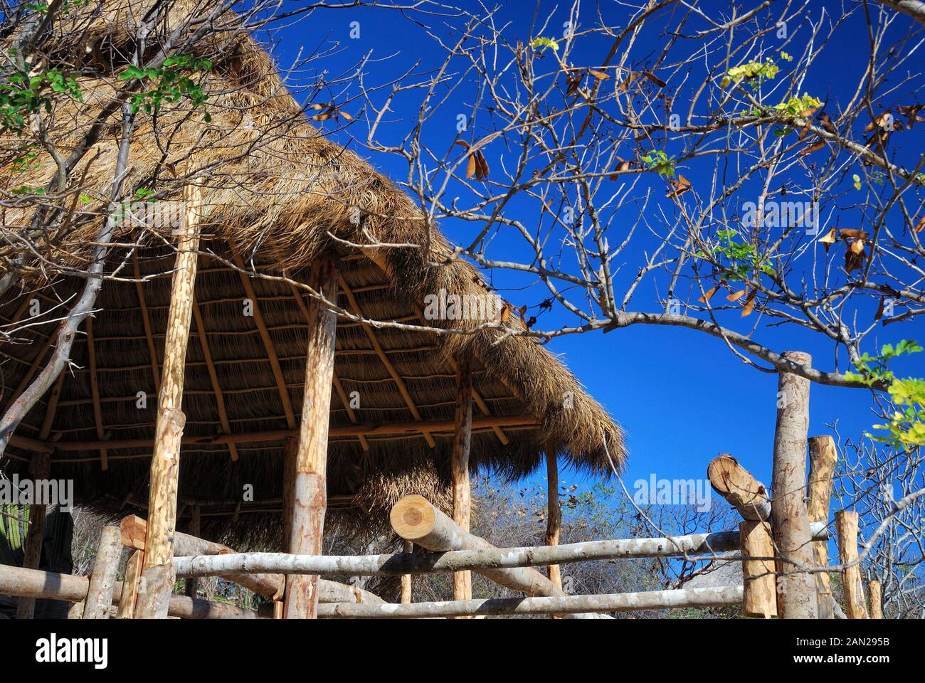 Mexican style cottage with thatched roof in tropical jungle Stock Photo