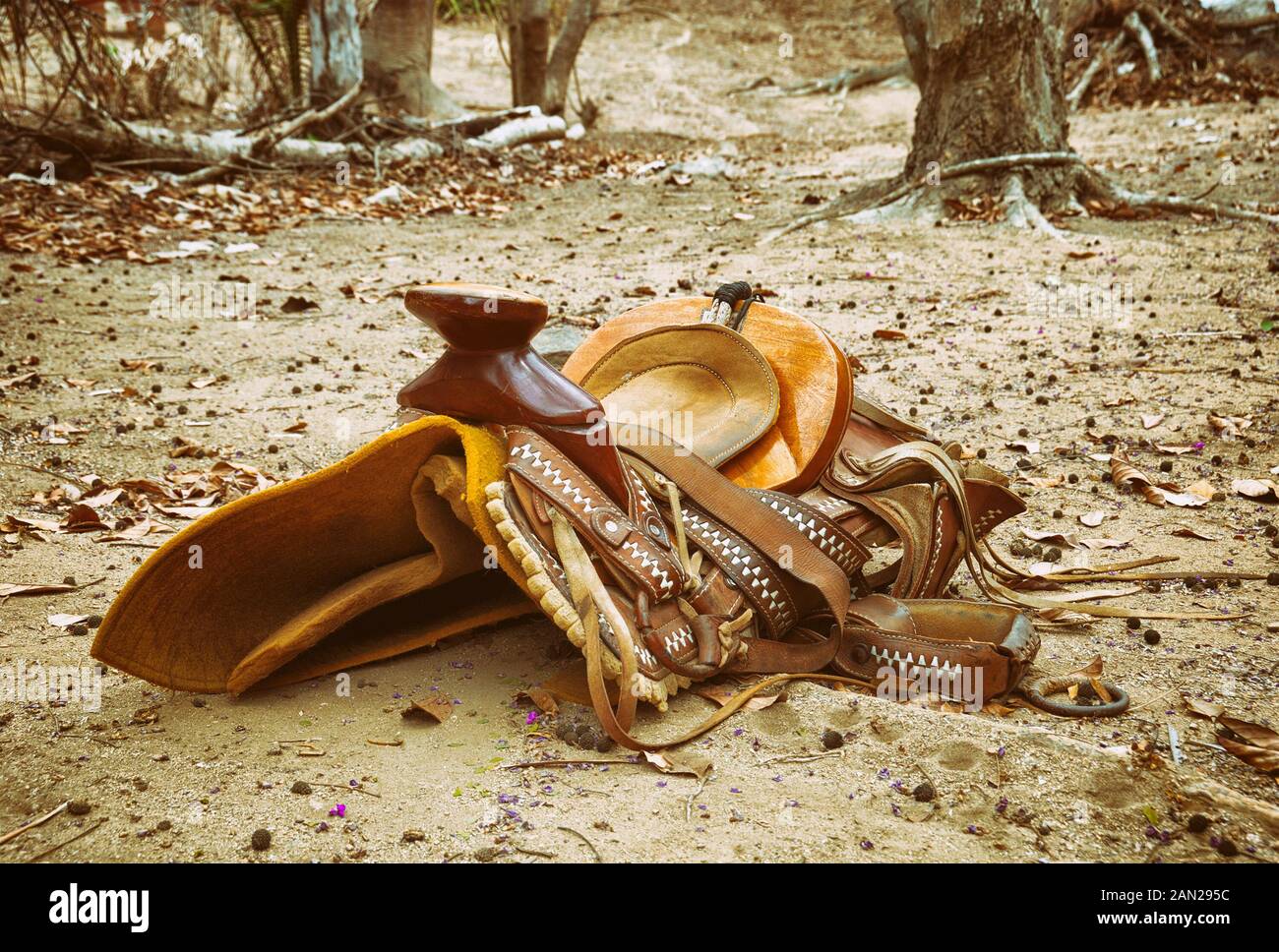Old decorated mexican saddle lying on sand Stock Photo - Alamy