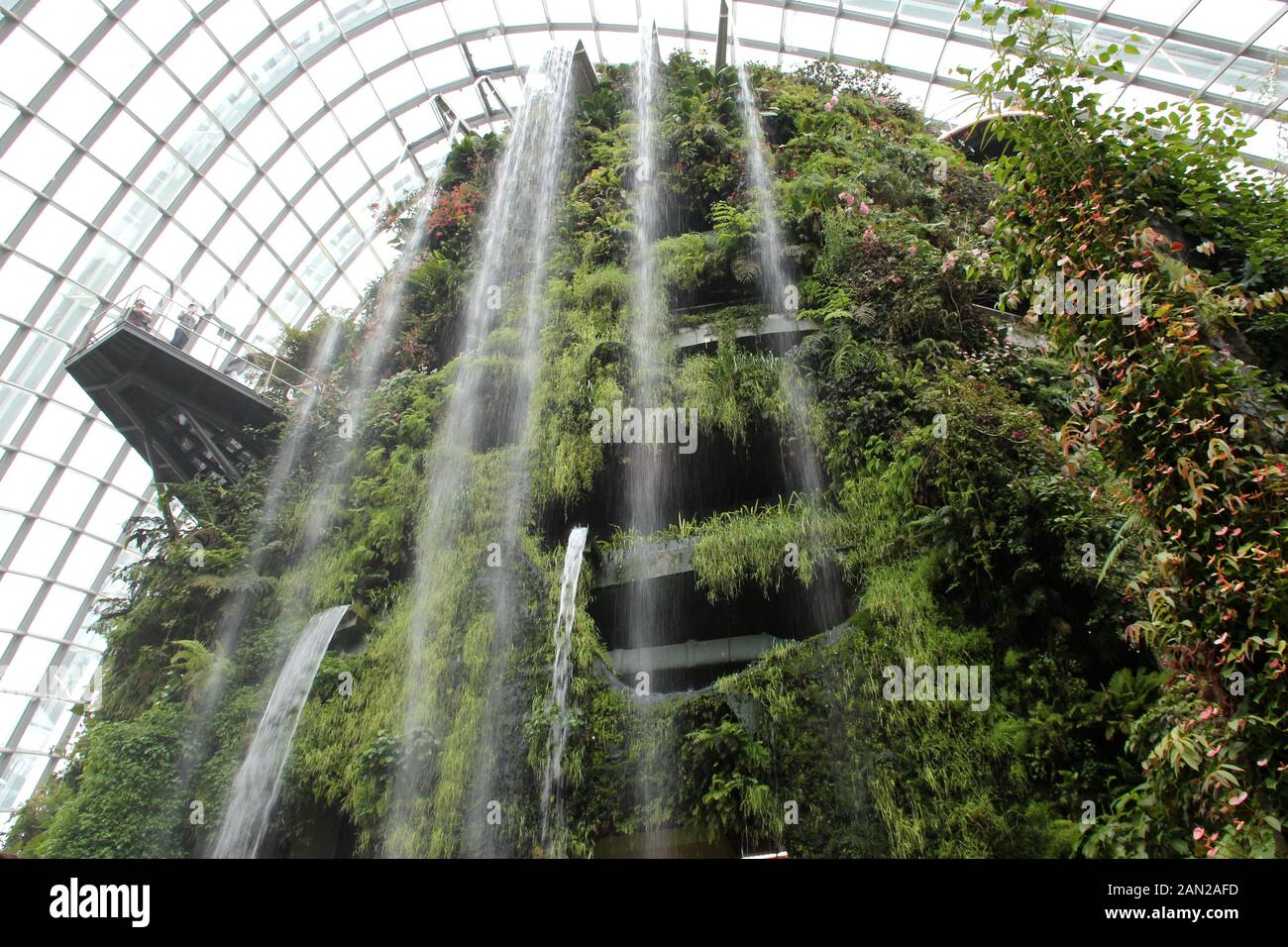 greenhouse (cloud forest) at gardens by the bay in singapore Stock