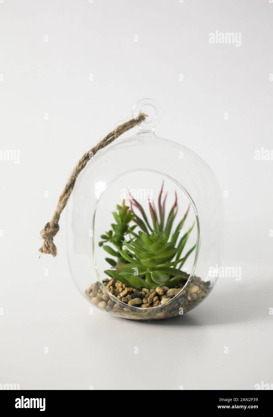 Small LED Succulent Terrarium