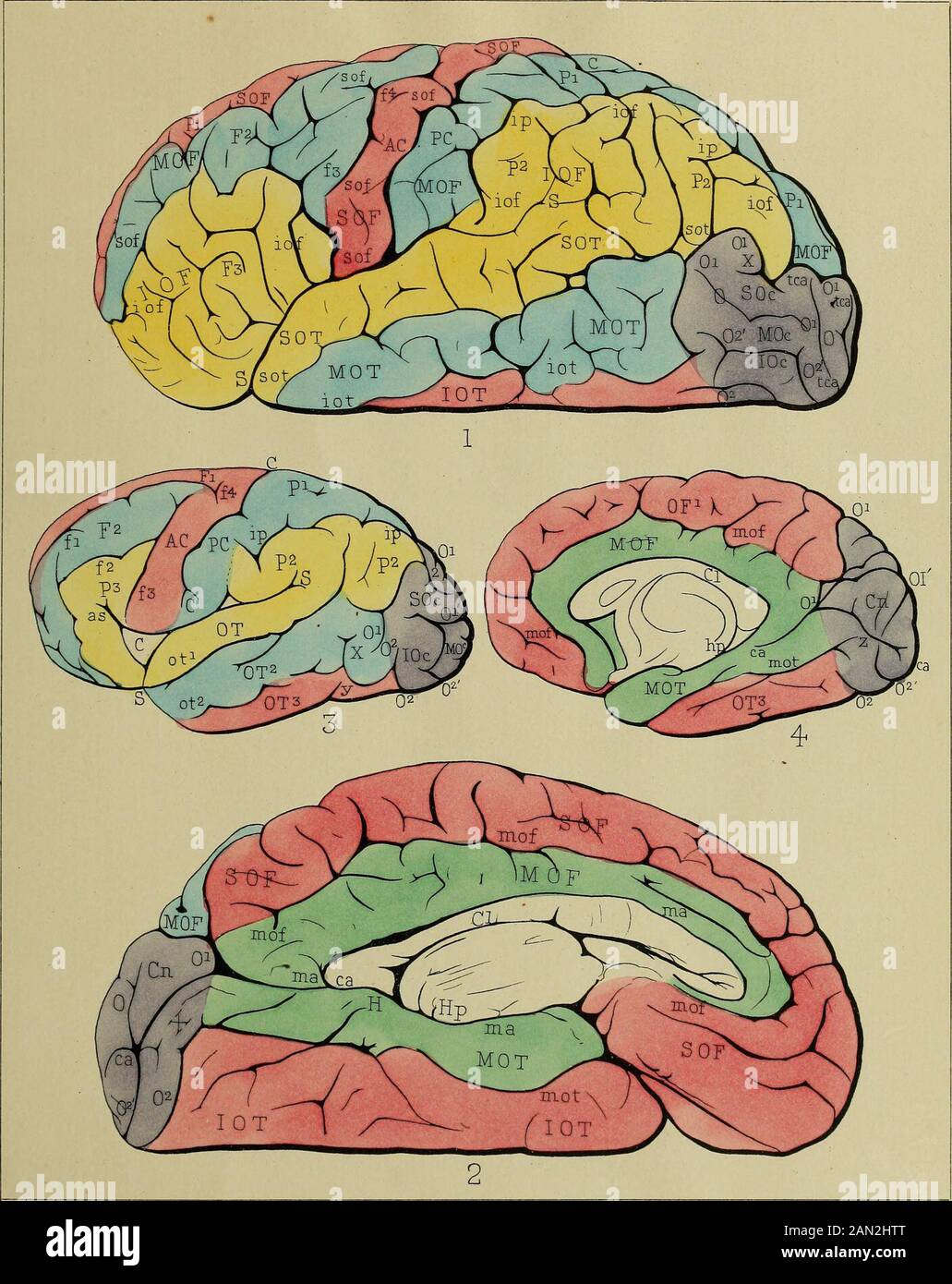 Journal of the Academy of Natural Sciences of Philadelphia . PARKER ...