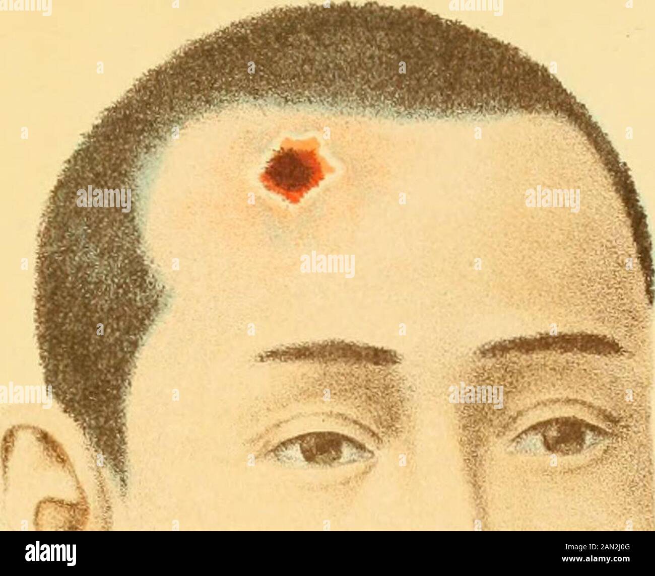 Watanabe Left Hi Res Stock Photography And Images Alamy