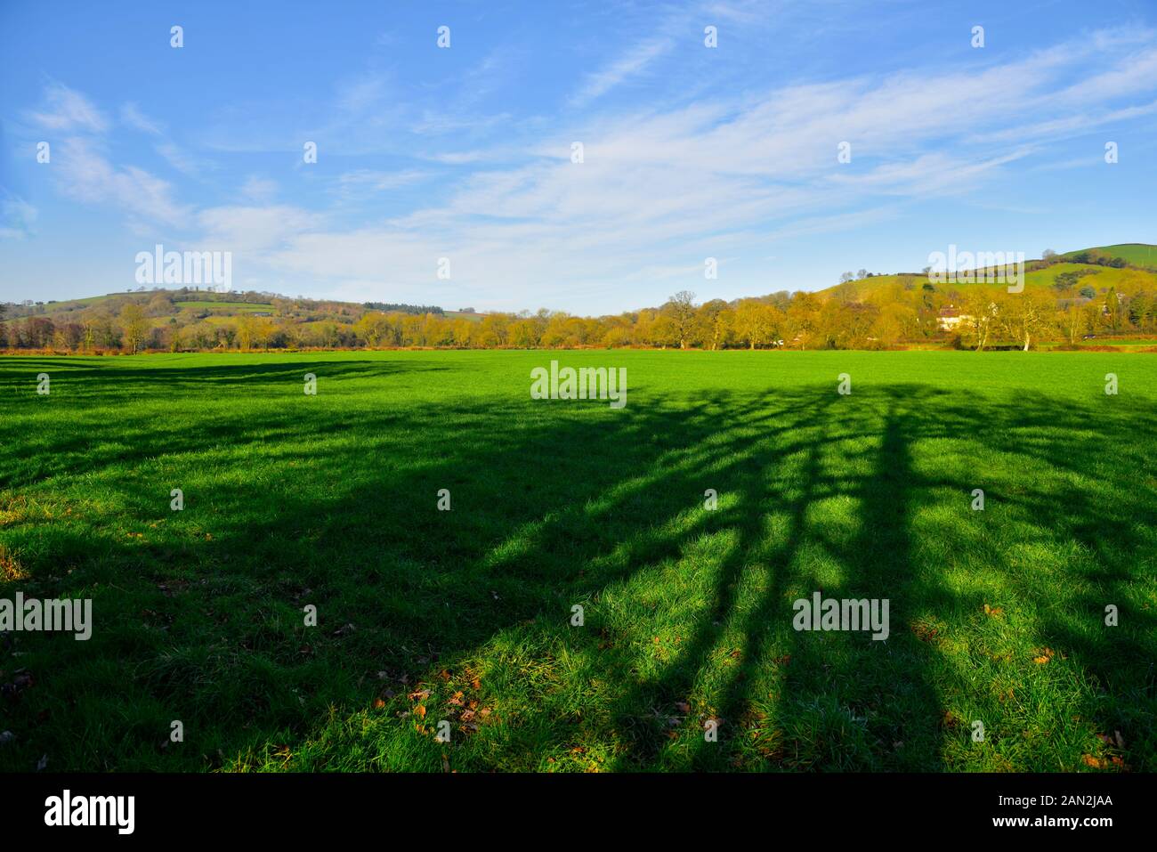 Devon countryside view with tree shadows across field, rolling hills in background Stock Photo