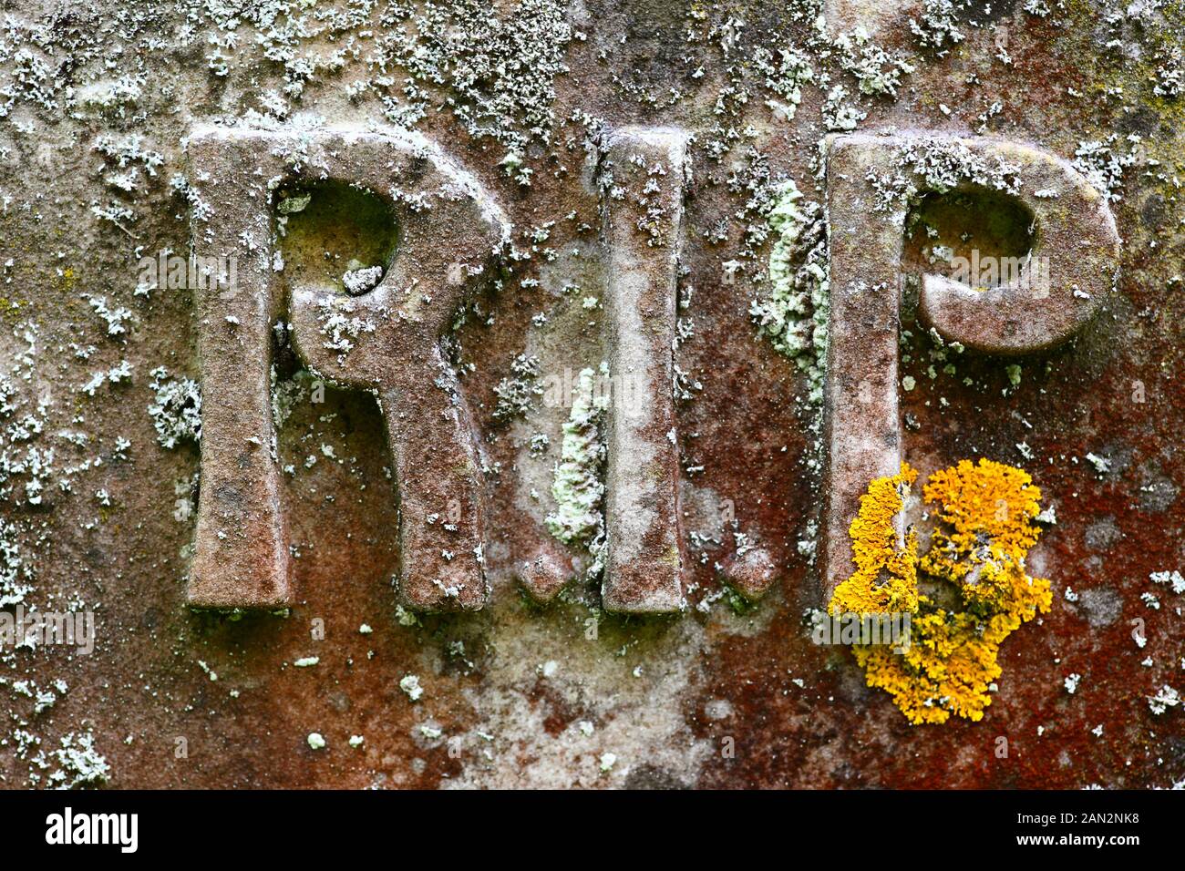 Detail of RIP (Rest In Peace) carving and lichens on old headstone in cemetery of the old parish church of St Peter, Pembury, Kent, England Stock Photo