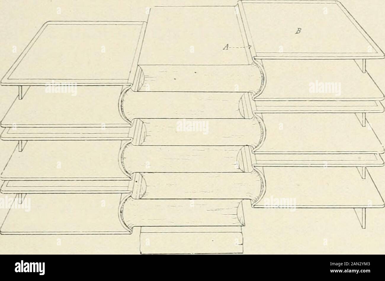Bookbinding and its auxiliary branches . n it two or three times